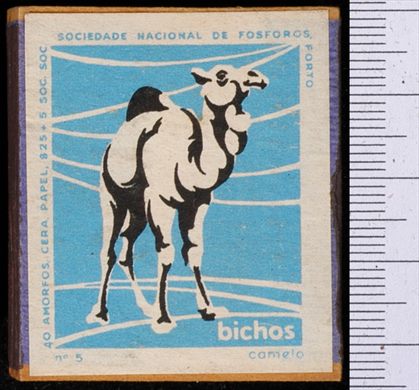 Bichos - Serie Azul (SNF-Porto) 05
