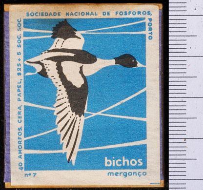 Bichos - Serie Azul (SNF-Porto) 07