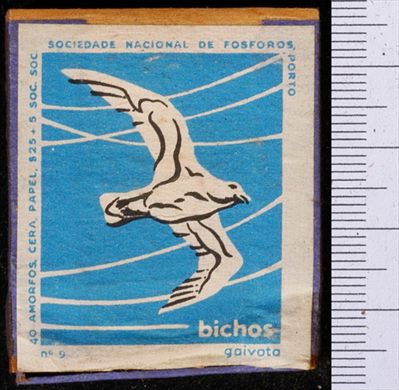 Bichos - Serie Azul (SNF-Porto) 09