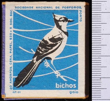 Bichos - Serie Azul (SNF-Porto) 11