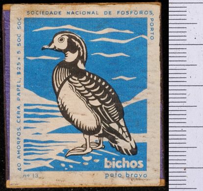 Bichos - Serie Azul (SNF-Porto) 13