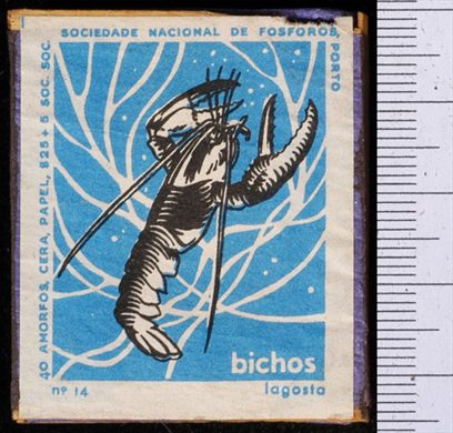 Bichos - Serie Azul (SNF-Porto) 14