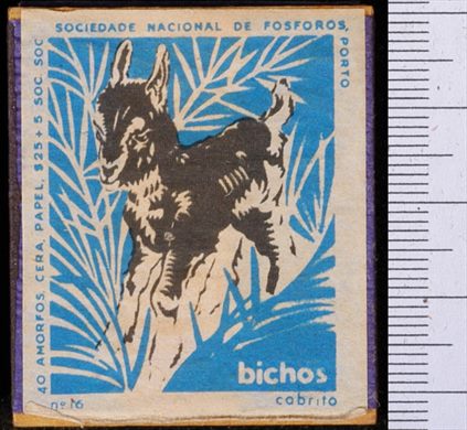 Bichos - Serie Azul (SNF-Porto) 16