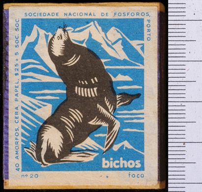 Bichos - Serie Azul (SNF-Porto) 20