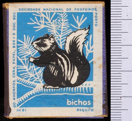 Bichos - Serie Azul (SNF-Porto) 21