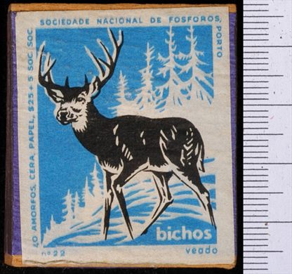 Bichos - Serie Azul (SNF-Porto) 22