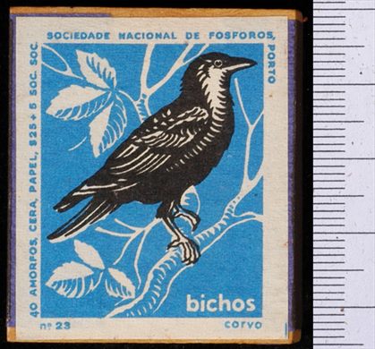 Bichos - Serie Azul (SNF-Porto) 23