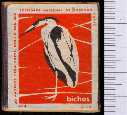 Bichos - Serie Laranja (SNF-Porto) 06