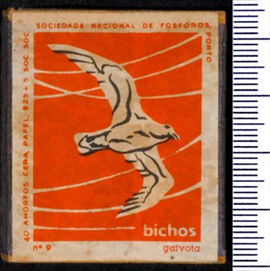 Bichos - Serie Laranja (SNF-Porto) 09