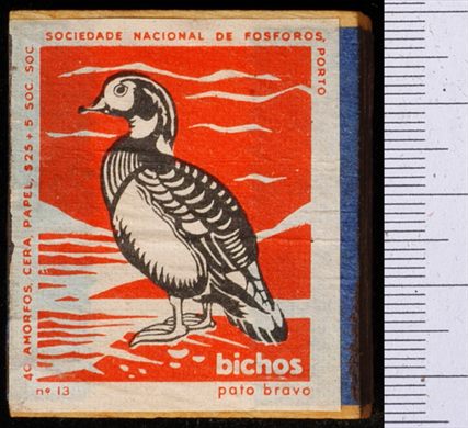 Bichos - Serie Laranja (SNF-Porto) 13