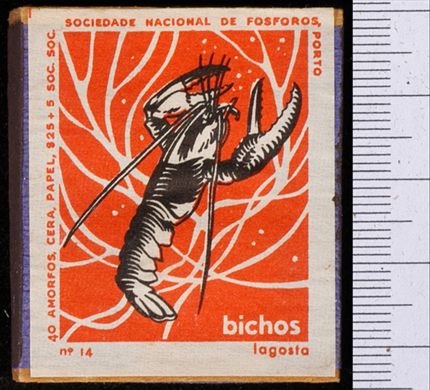 Bichos - Serie Laranja (SNF-Porto) 14