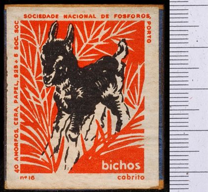 Bichos - Serie Laranja (SNF-Porto) 16