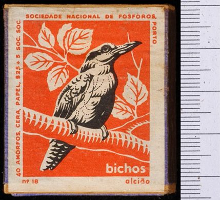 Bichos - Serie Laranja (SNF-Porto) 18