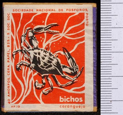Bichos - Serie Laranja (SNF-Porto) 19