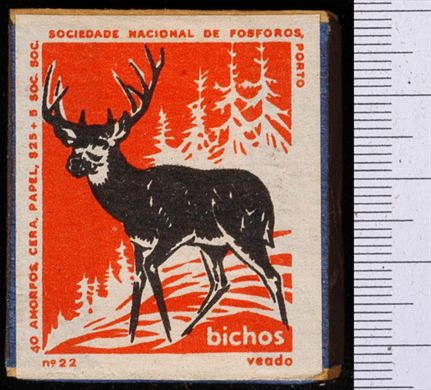 Bichos - Serie Laranja (SNF-Porto) 22