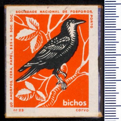 Bichos - Serie Laranja (SNF-Porto) 23
