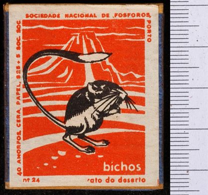 Bichos - Serie Laranja (SNF-Porto) 24