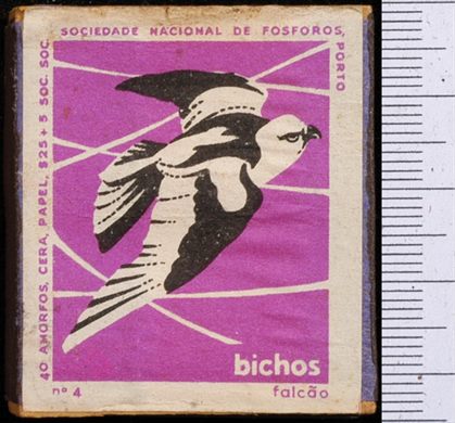 Bichos - Serie Roxa (SNF-Porto) 04