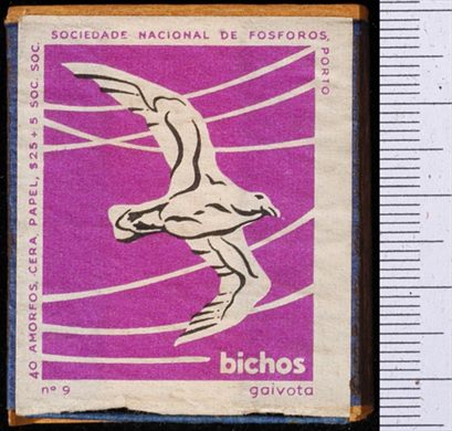 Bichos - Serie Roxa (SNF-Porto) 09