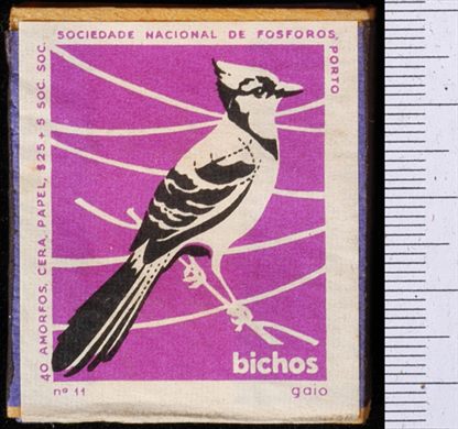 Bichos - Serie Roxa (SNF-Porto) 11