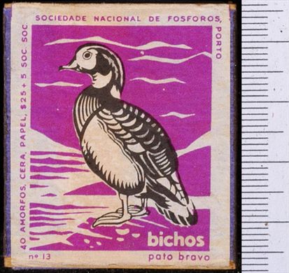 Bichos - Serie Roxa (SNF-Porto) 13