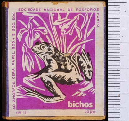 Bichos - Serie Roxa (SNF-Porto) 15