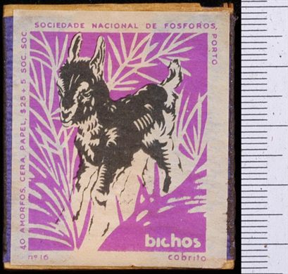 Bichos - Serie Roxa (SNF-Porto) 16