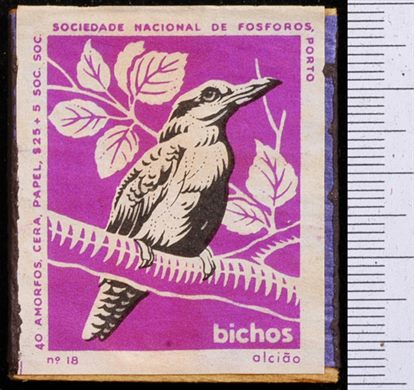 Bichos - Serie Roxa (SNF-Porto) 18