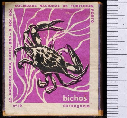 Bichos - Serie Roxa (SNF-Porto) 19