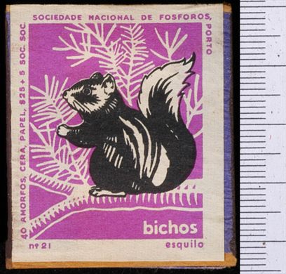 Bichos - Serie Roxa (SNF-Porto) 21