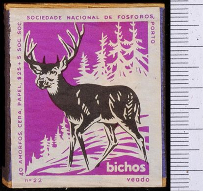Bichos - Serie Roxa (SNF-Porto) 22