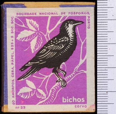 Bichos - Serie Roxa (SNF-Porto) 23