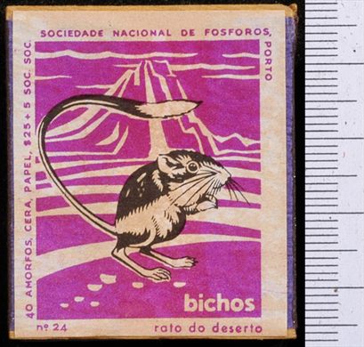 Bichos - Serie Roxa (SNF-Porto) 24