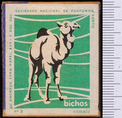 Bichos - Serie Verde (SNF-Porto) 05