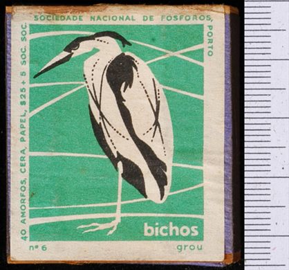 Bichos - Serie Verde (SNF-Porto) 06