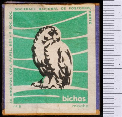 Bichos - Serie Verde (SNF-Porto) 08