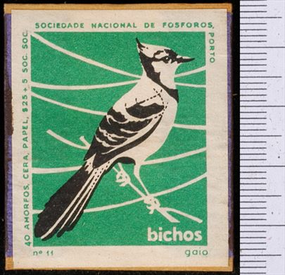 Bichos - Serie Verde (SNF-Porto) 11