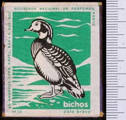Bichos - Serie Verde (SNF-Porto) 13