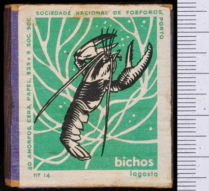 Bichos - Serie Verde (SNF-Porto) 14 (1)