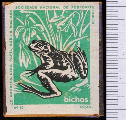 Bichos - Serie Verde (SNF-Porto) 15