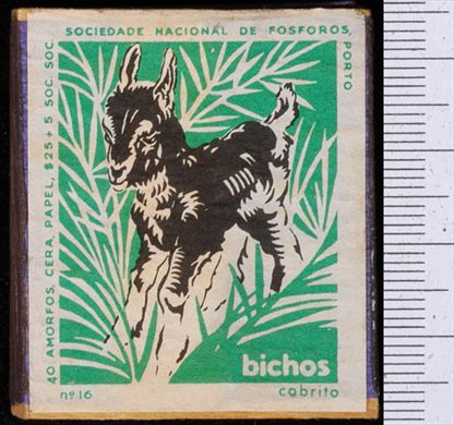 Bichos - Serie Verde (SNF-Porto) 16