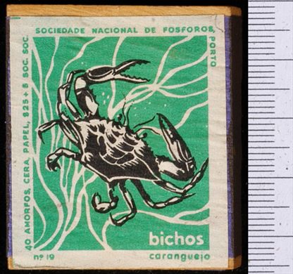 Bichos - Serie Verde (SNF-Porto) 19