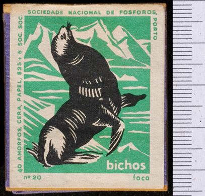 Bichos - Serie Verde (SNF-Porto) 20