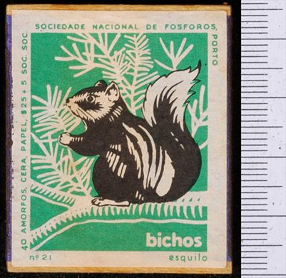 Bichos - Serie Verde (SNF-Porto) 21