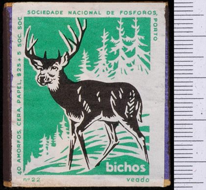 Bichos - Serie Verde (SNF-Porto) 22