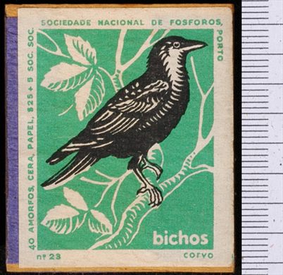 Bichos - Serie Verde (SNF-Porto) 23