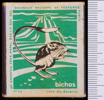 Bichos - Serie Verde (SNF-Porto) 24