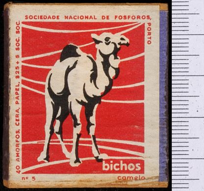 Bichos - Serie Vermelha (SNF-Porto) 05