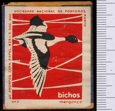 Bichos - Serie Vermelha (SNF-Porto) 07