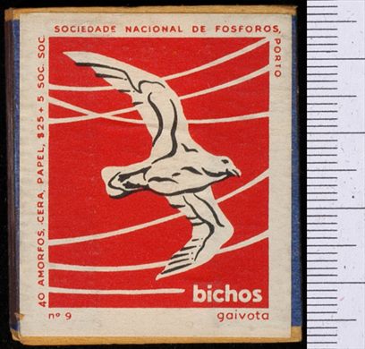 Bichos - Serie Vermelha (SNF-Porto) 09